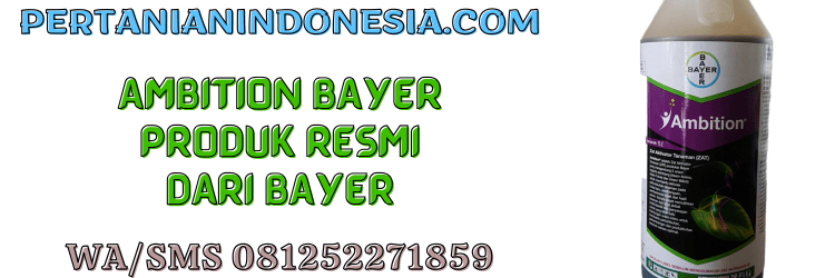 ambition,bayer,pupuk,pupuk organik,zat aktivator tanaman,bayer,pertanian indonesia